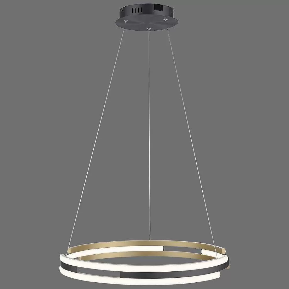Paul Neuhaus Q-Serie Suspension Paul Neuhaus Q-Beluga Led Or, 1 Lumiere, Telecommandes