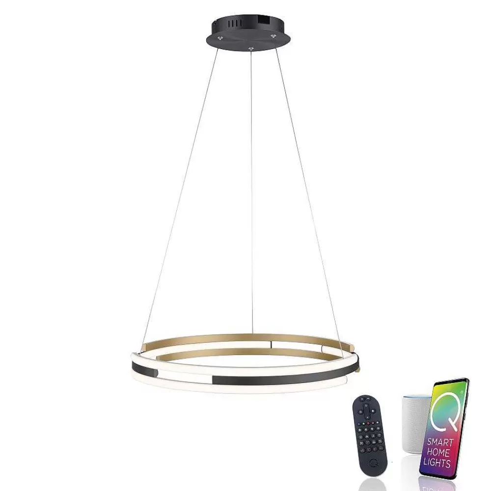 Paul Neuhaus Q-Serie Suspension Paul Neuhaus Q-Beluga Led Or, 1 Lumiere, Telecommandes