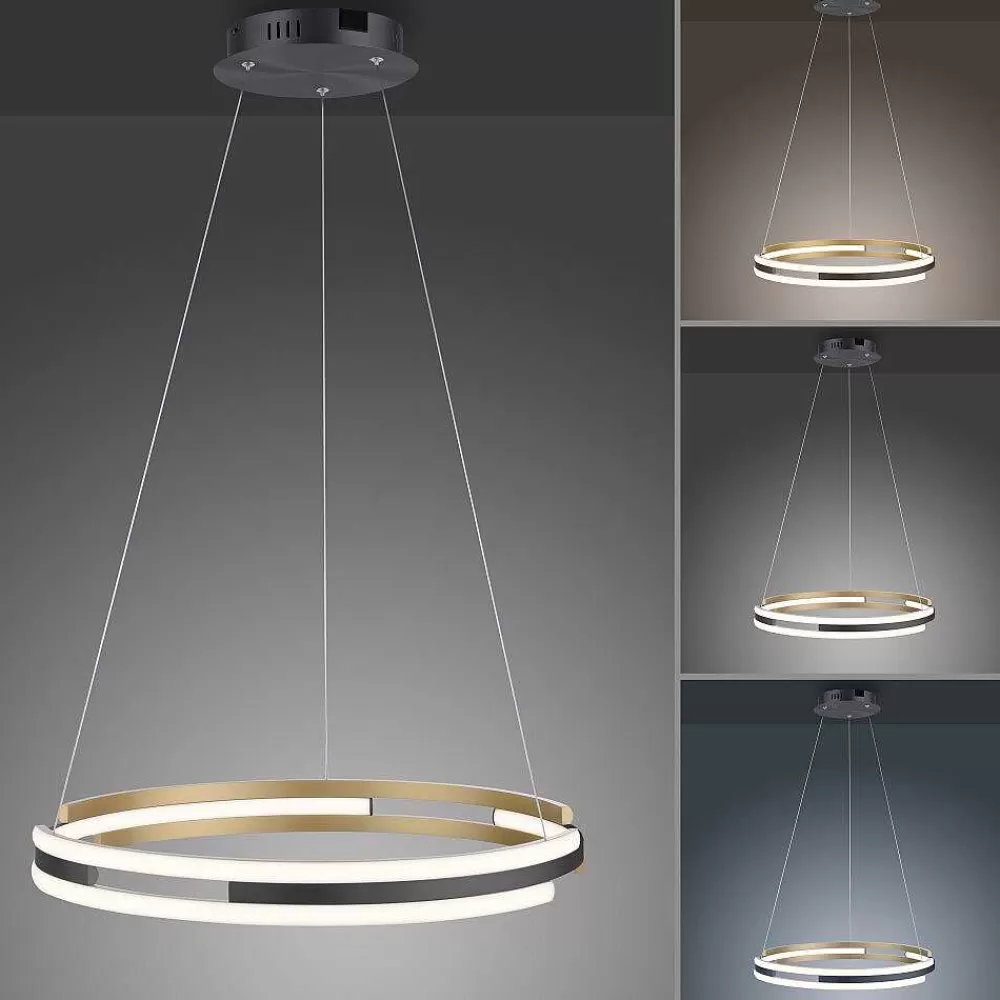 Paul Neuhaus Q-Serie Suspension Paul Neuhaus Q-Beluga Led Or, 1 Lumiere, Telecommandes