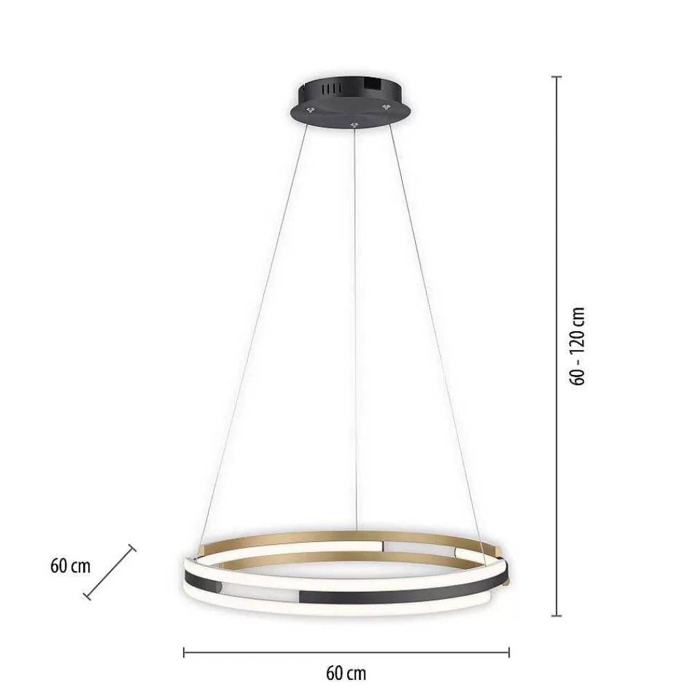 Paul Neuhaus Q-Serie Suspension Paul Neuhaus Q-Beluga Led Or, 1 Lumiere, Telecommandes