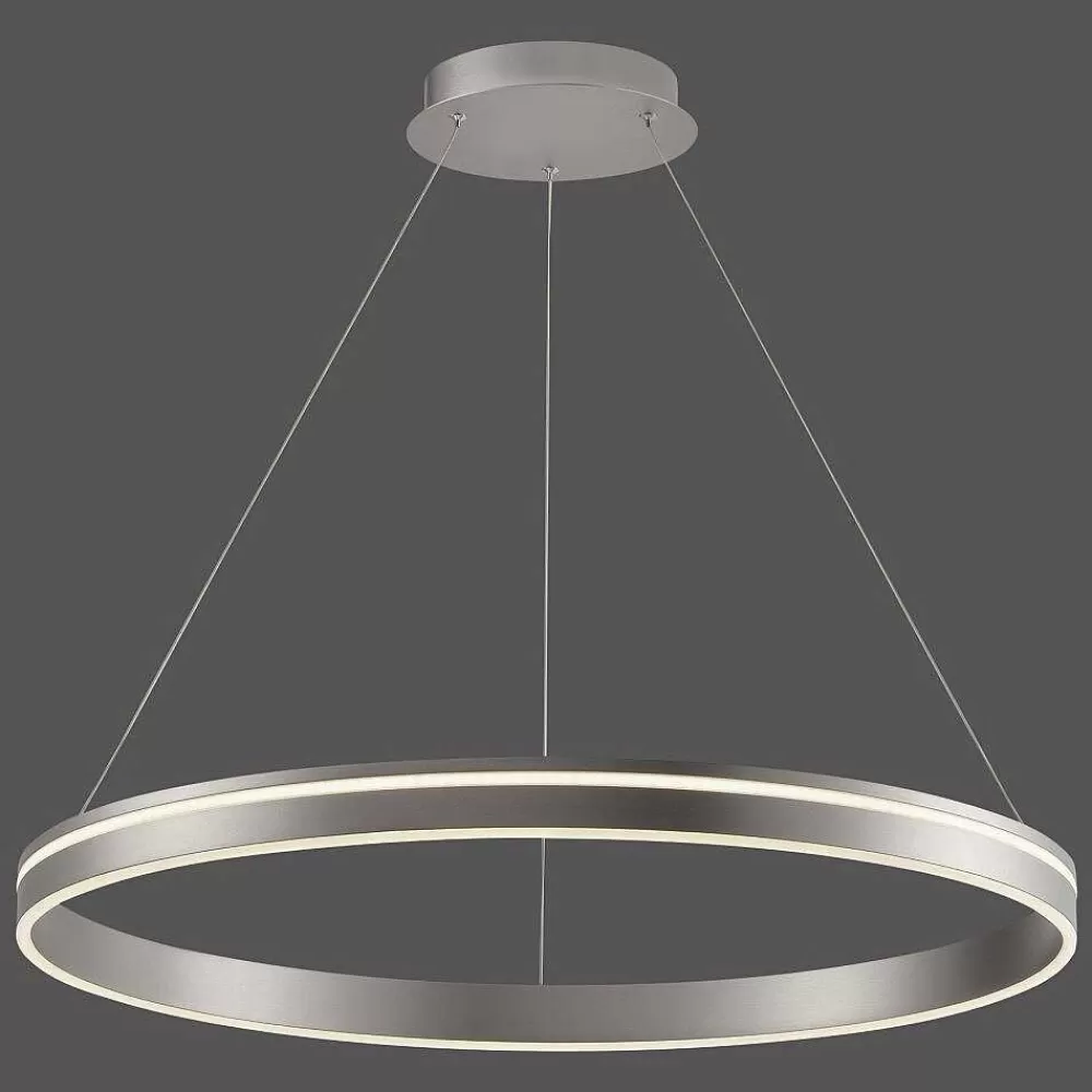 Paul Neuhaus Q-Serie Suspension Paul Neuhaus Q-Vito Led Acier Inoxydable, 1 Lumiere, Telecommandes