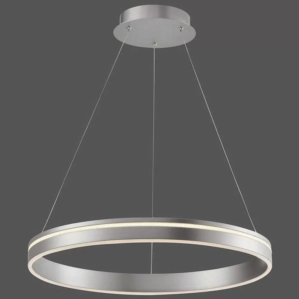 Paul Neuhaus Q-Serie Suspension Paul Neuhaus Q-Vito Led Acier Inoxydable, 1 Lumiere, Telecommandes
