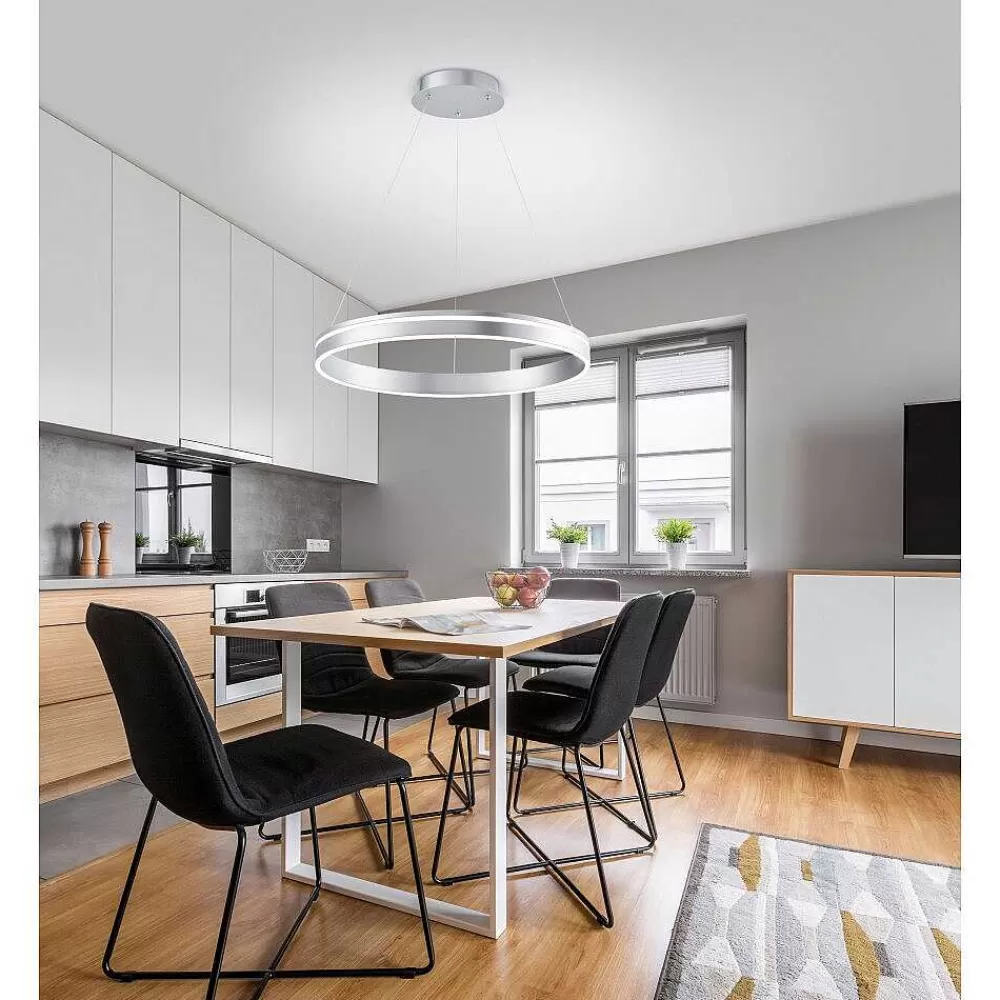 Paul Neuhaus Q-Serie Suspension Paul Neuhaus Q-Vito Led Acier Inoxydable, 1 Lumiere, Telecommandes