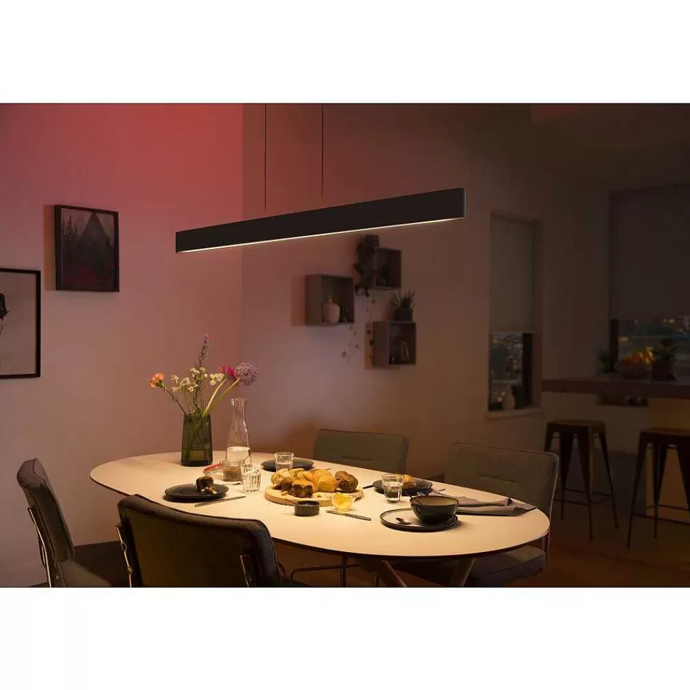 Luminaires Philips Suspension Philips Hue White & Color Ambiance Ensis Led Noir, 2 Lumieres, Changeur De Couleurs