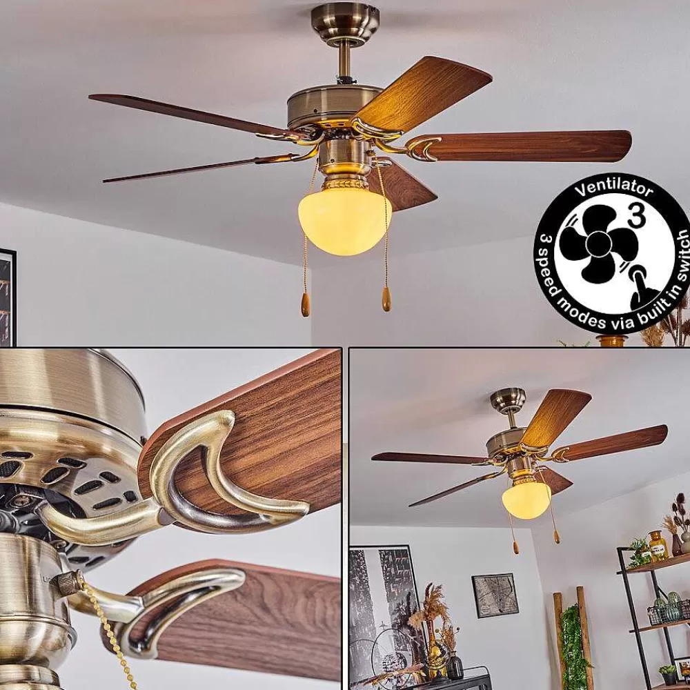 hofstein Ventilateur De Plafond Apiao Brun, Brun Clair, Couleur Bois, Argente, 1 Lumiere