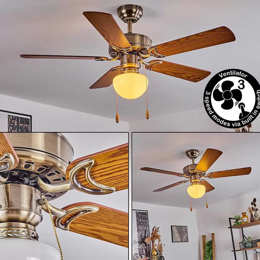 hofstein Ventilateur De Plafond Apiao Brun, Brun Clair, Couleur Bois, Argente, 1 Lumiere