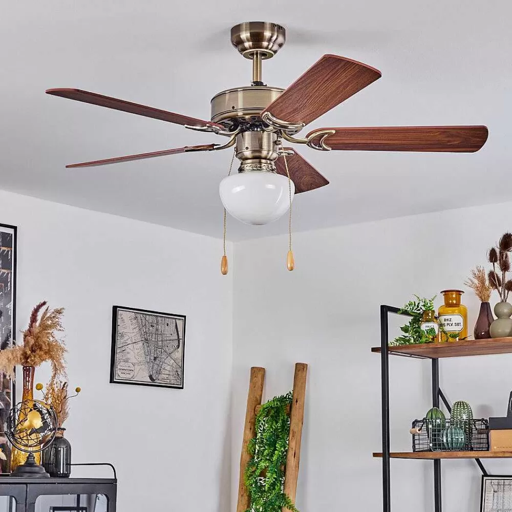hofstein Ventilateur De Plafond Apiao Brun, Brun Clair, Couleur Bois, Argente, 1 Lumiere
