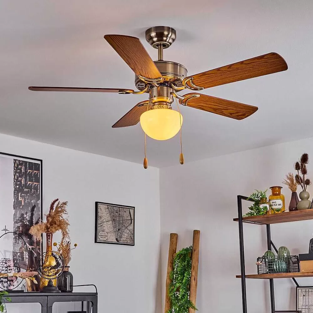 hofstein Ventilateur De Plafond Apiao Brun, Brun Clair, Couleur Bois, Argente, 1 Lumiere