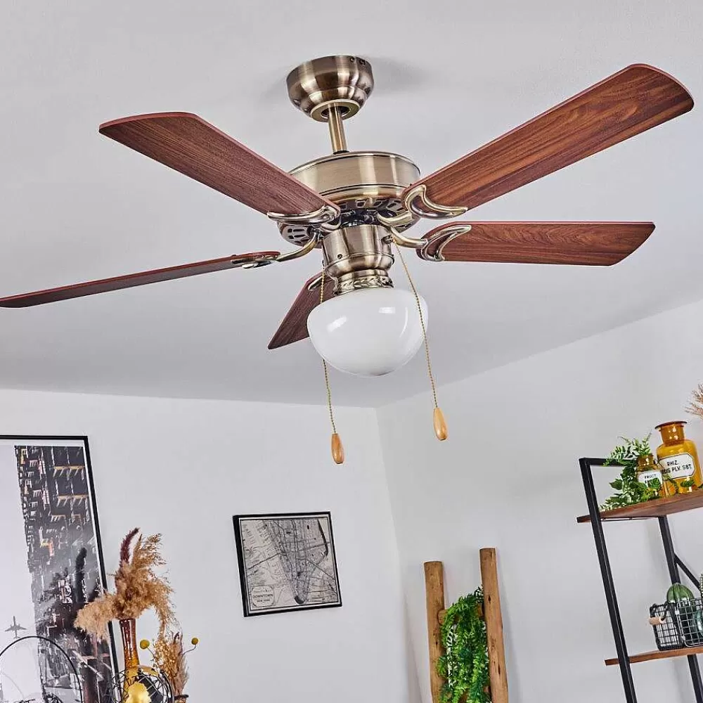 hofstein Ventilateur De Plafond Apiao Brun, Brun Clair, Couleur Bois, Argente, 1 Lumiere
