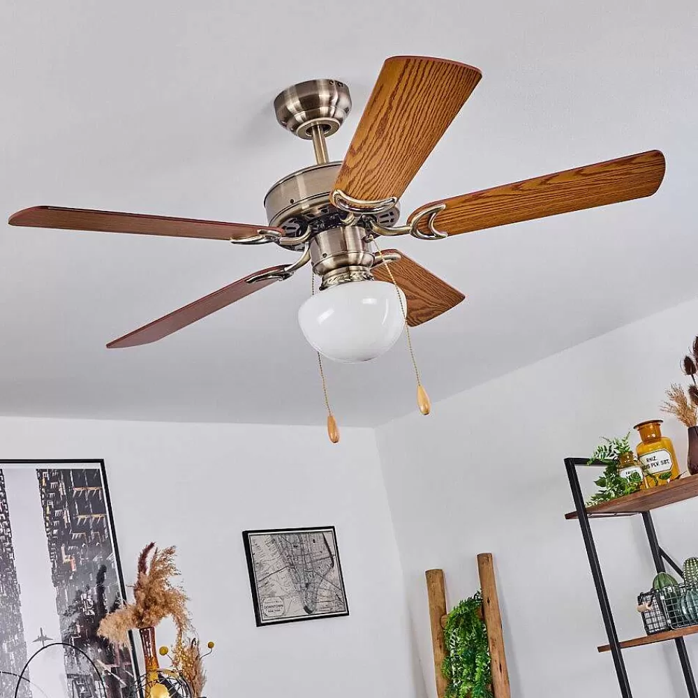 hofstein Ventilateur De Plafond Apiao Brun, Brun Clair, Couleur Bois, Argente, 1 Lumiere