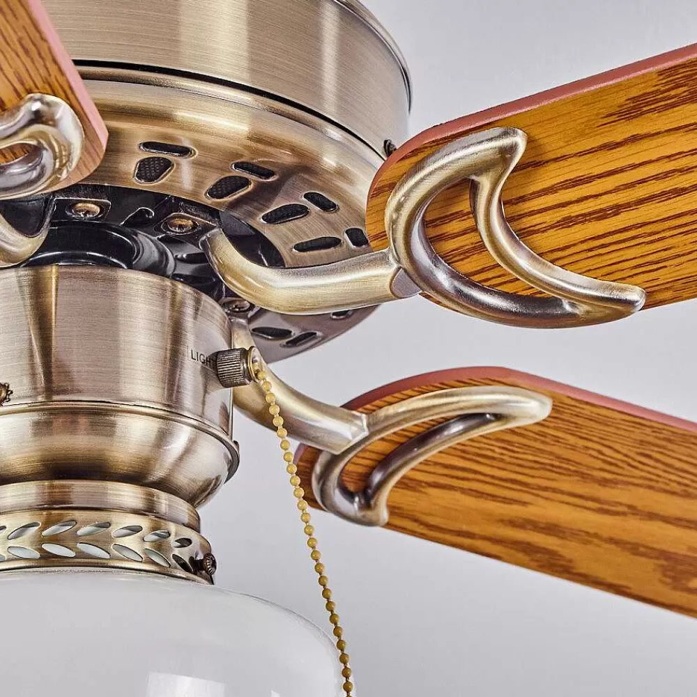 hofstein Ventilateur De Plafond Apiao Brun, Brun Clair, Couleur Bois, Argente, 1 Lumiere