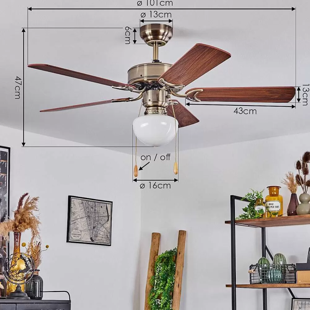 hofstein Ventilateur De Plafond Apiao Brun, Brun Clair, Couleur Bois, Argente, 1 Lumiere