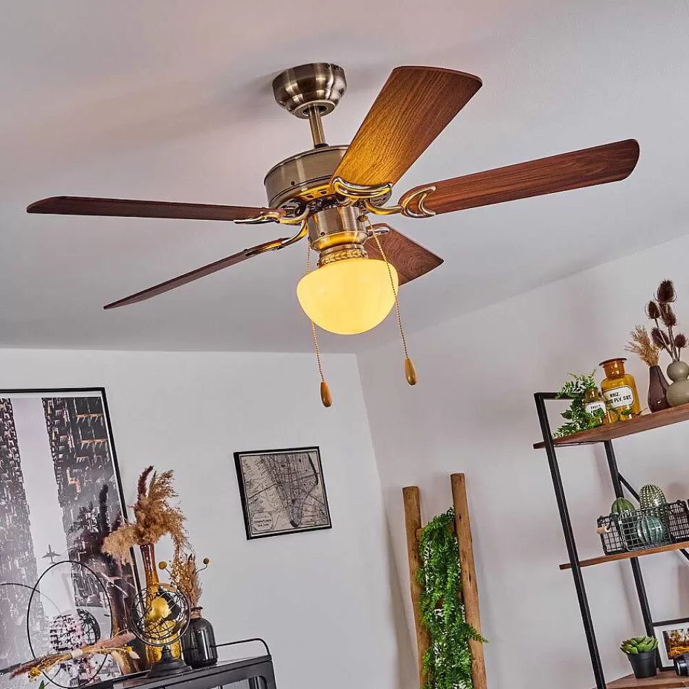 hofstein Ventilateur De Plafond Apiao Brun, Brun Clair, Couleur Bois, Argente, 1 Lumiere