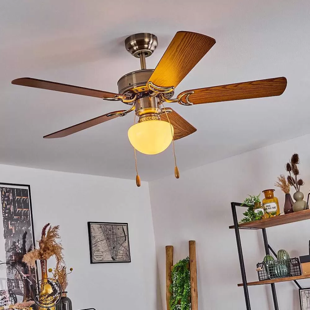 hofstein Ventilateur De Plafond Apiao Brun, Brun Clair, Couleur Bois, Argente, 1 Lumiere