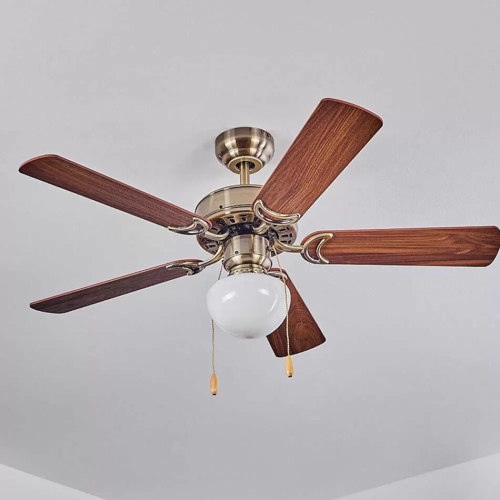 hofstein Ventilateur De Plafond Apiao Brun, Brun Clair, Couleur Bois, Argente, 1 Lumiere