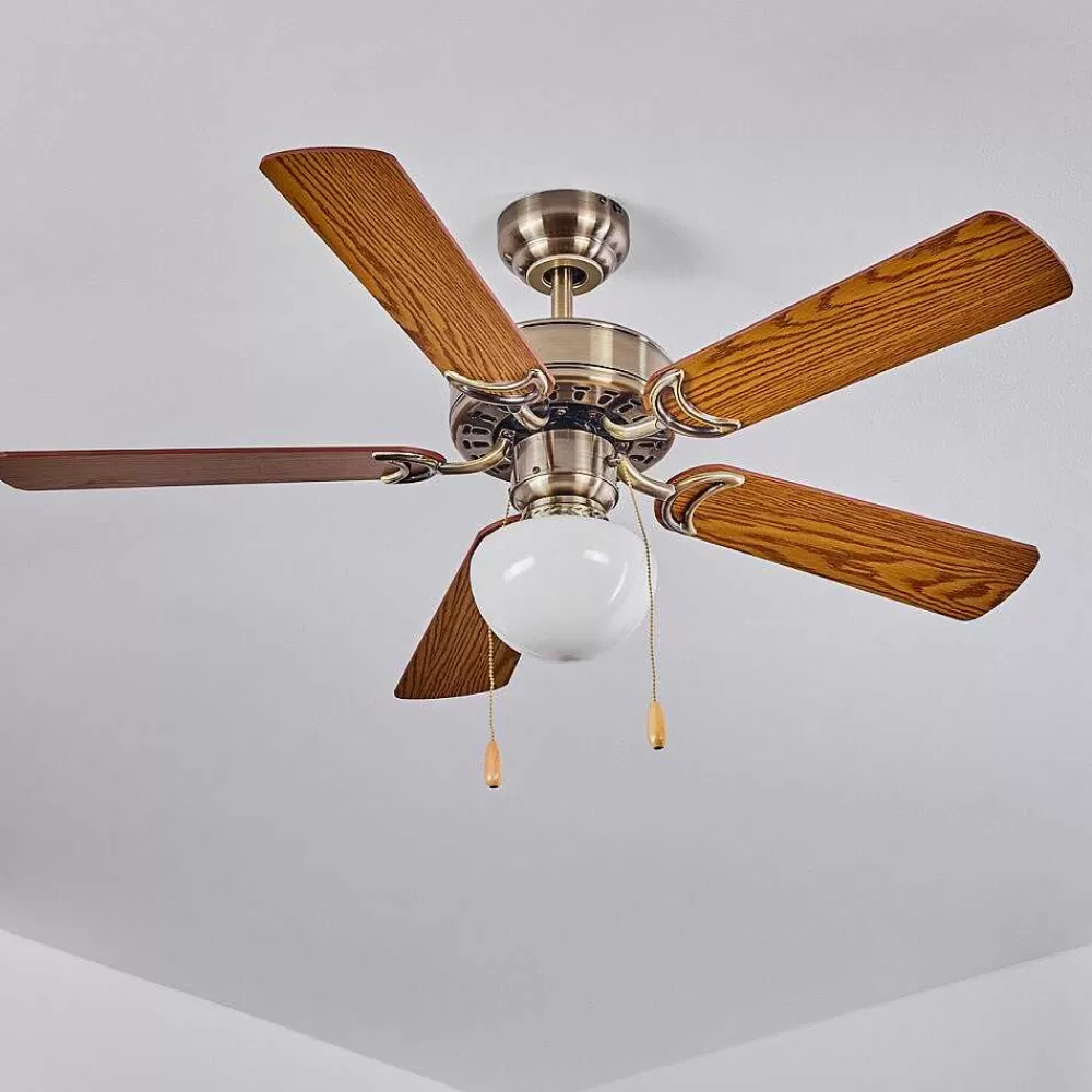 hofstein Ventilateur De Plafond Apiao Brun, Brun Clair, Couleur Bois, Argente, 1 Lumiere