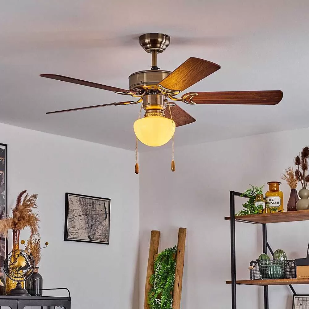 hofstein Ventilateur De Plafond Apiao Brun, Brun Clair, Couleur Bois, Argente, 1 Lumiere