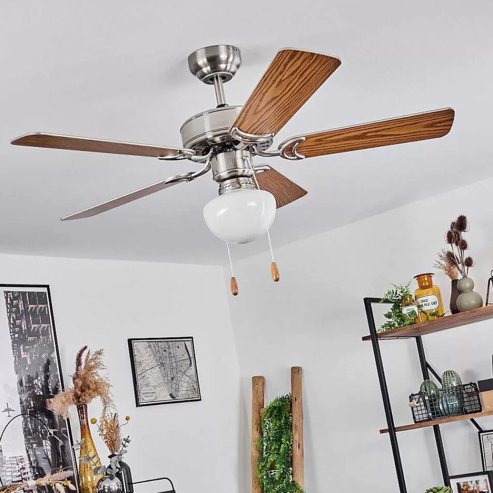 hofstein Ventilateur De Plafond Apiao Brun, Couleur Bois, Argente, 1 Lumiere