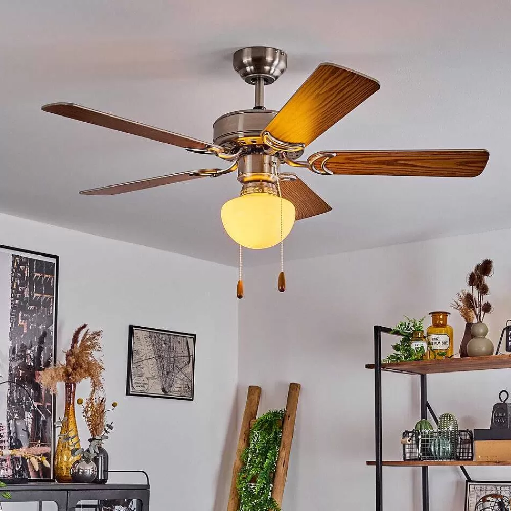 hofstein Ventilateur De Plafond Apiao Brun, Couleur Bois, Argente, 1 Lumiere