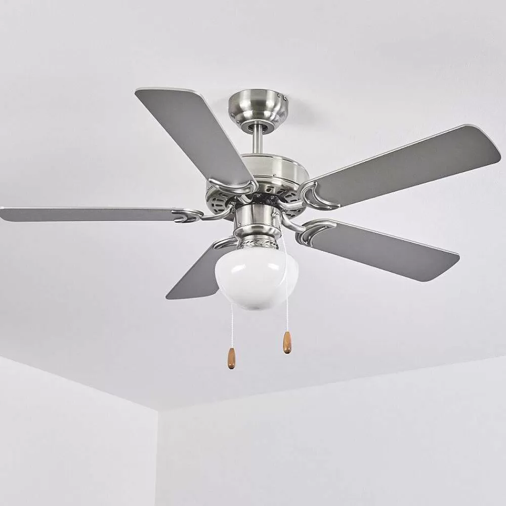 hofstein Ventilateur De Plafond Apiao Brun, Couleur Bois, Argente, 1 Lumiere