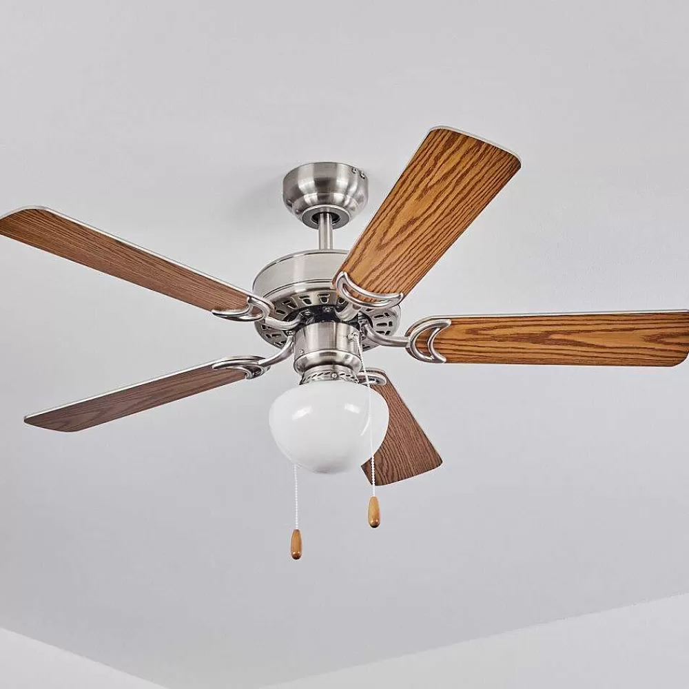 hofstein Ventilateur De Plafond Apiao Brun, Couleur Bois, Argente, 1 Lumiere