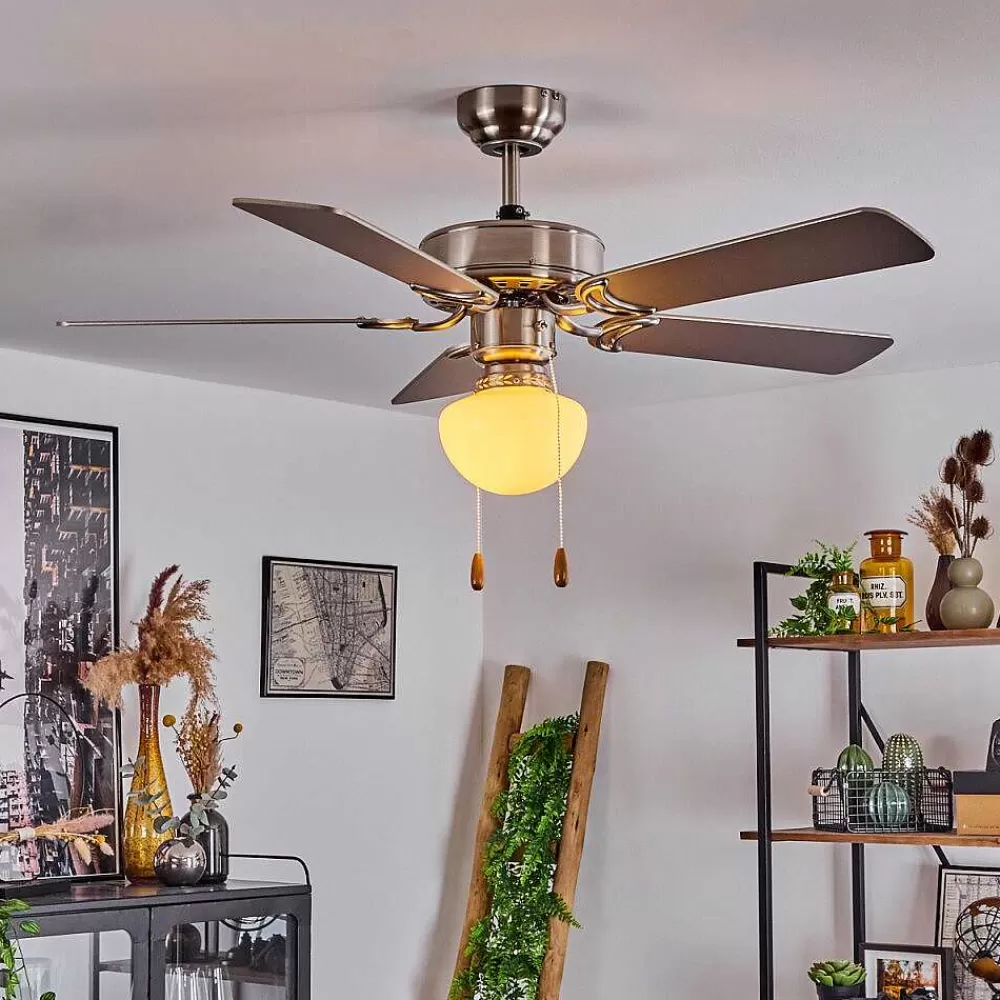 hofstein Ventilateur De Plafond Apiao Brun, Couleur Bois, Argente, 1 Lumiere