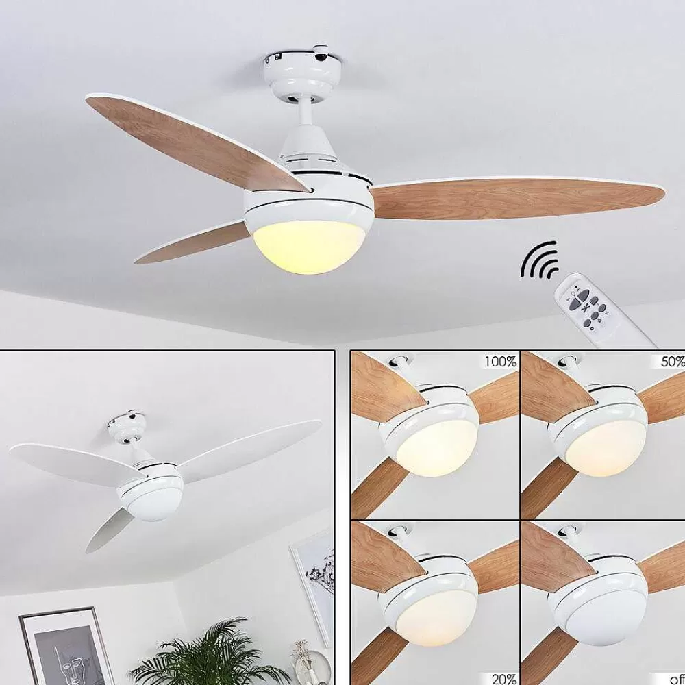 hofstein Ventilateur De Plafond Beltiglio Bois Fonce, Blanc, 2 Lumieres, Telecommandes