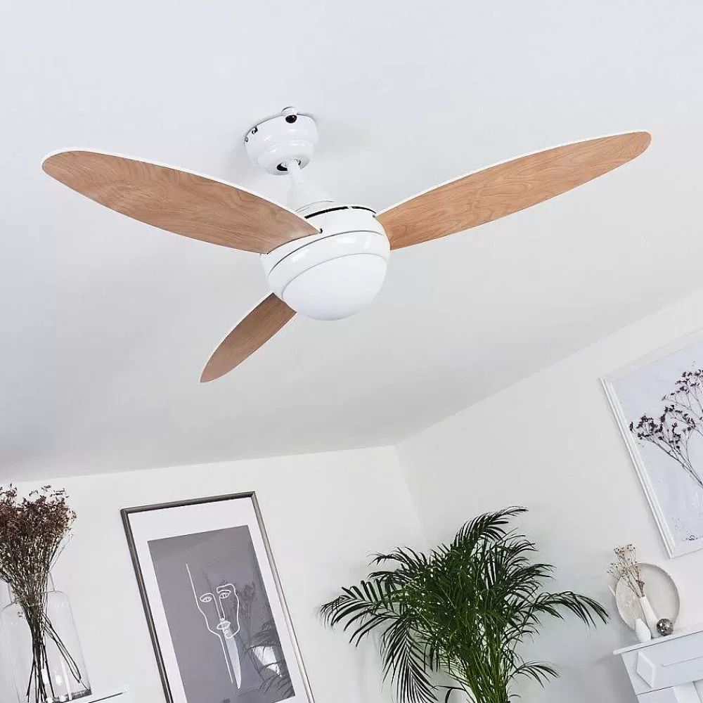 hofstein Ventilateur De Plafond Beltiglio Bois Fonce, Blanc, 2 Lumieres, Telecommandes