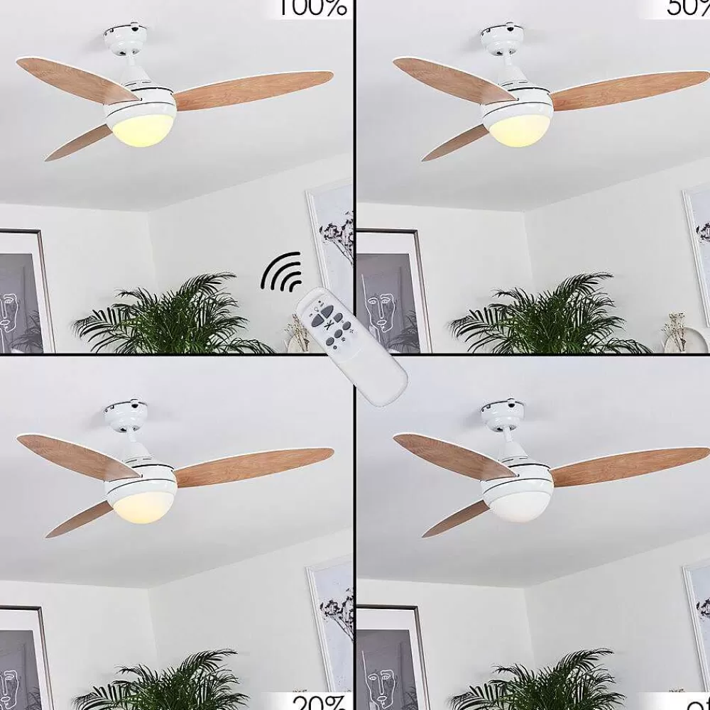 hofstein Ventilateur De Plafond Beltiglio Bois Fonce, Blanc, 2 Lumieres, Telecommandes