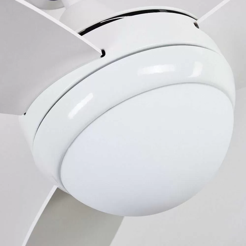 hofstein Ventilateur De Plafond Beltiglio Bois Fonce, Blanc, 2 Lumieres, Telecommandes