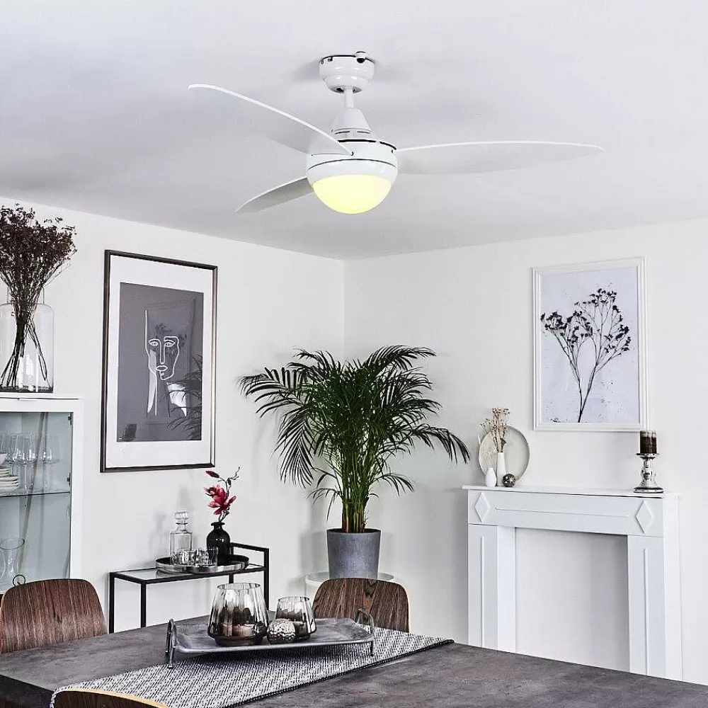 hofstein Ventilateur De Plafond Beltiglio Bois Fonce, Blanc, 2 Lumieres, Telecommandes