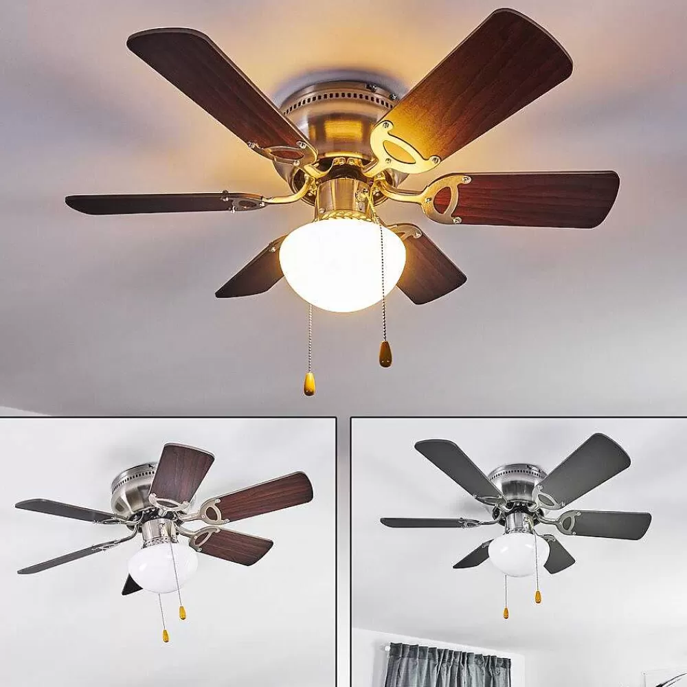 hofstein Ventilateur De Plafond Trillo Gris, Bois Clair, Nickel Mat, 1 Lumiere