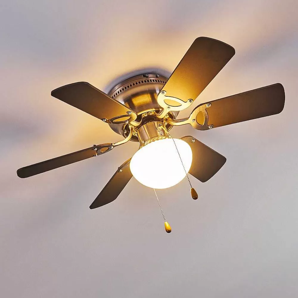 hofstein Ventilateur De Plafond Trillo Gris, Bois Clair, Nickel Mat, 1 Lumiere