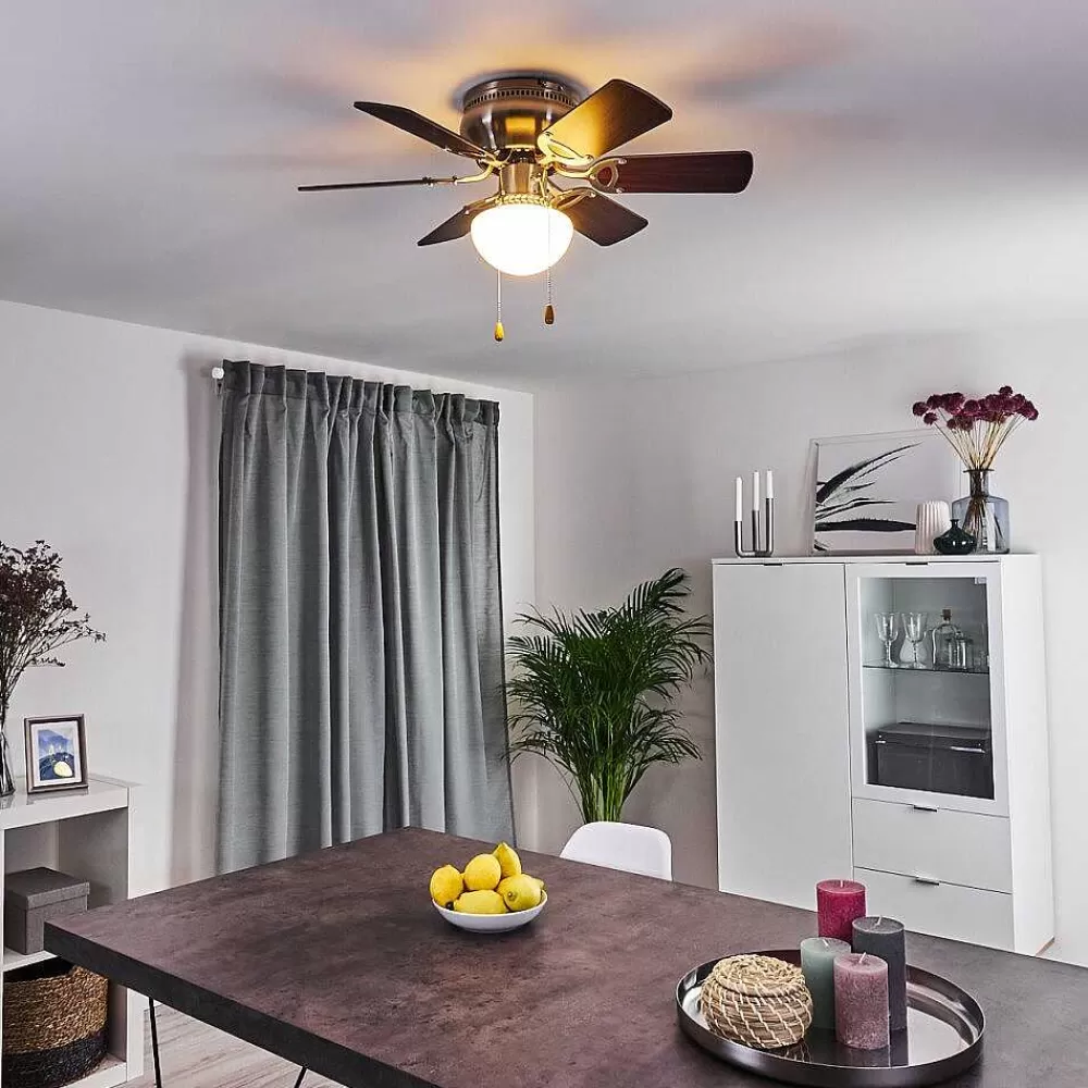hofstein Ventilateur De Plafond Trillo Gris, Bois Clair, Nickel Mat, 1 Lumiere