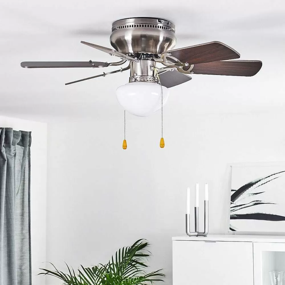 hofstein Ventilateur De Plafond Trillo Gris, Bois Clair, Nickel Mat, 1 Lumiere