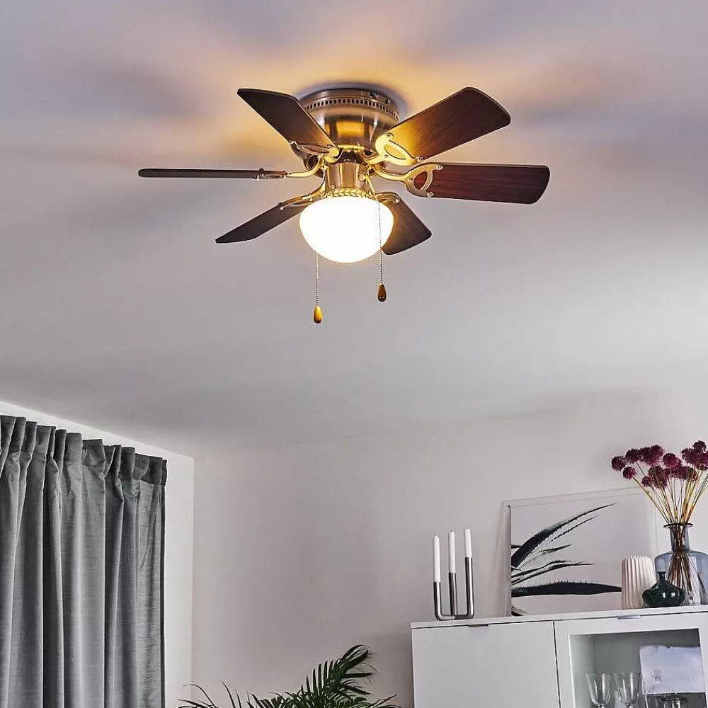 hofstein Ventilateur De Plafond Trillo Gris, Bois Clair, Nickel Mat, 1 Lumiere