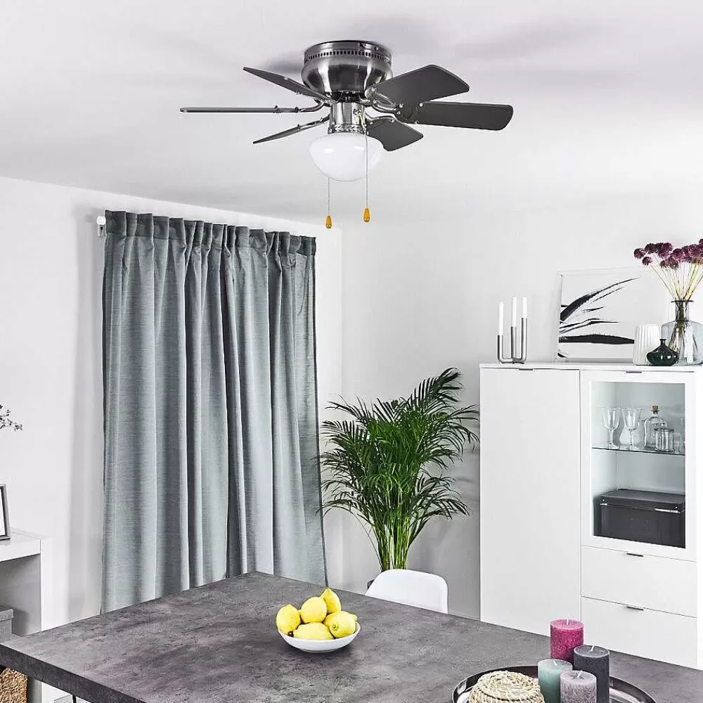 hofstein Ventilateur De Plafond Trillo Gris, Bois Clair, Nickel Mat, 1 Lumiere