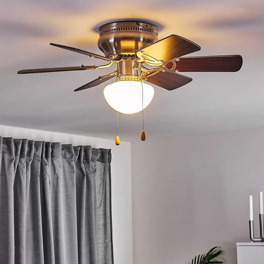 hofstein Ventilateur De Plafond Trillo Gris, Bois Clair, Nickel Mat, 1 Lumiere