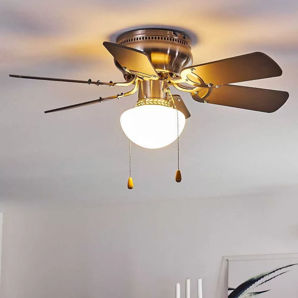 hofstein Ventilateur De Plafond Trillo Gris, Bois Clair, Nickel Mat, 1 Lumiere