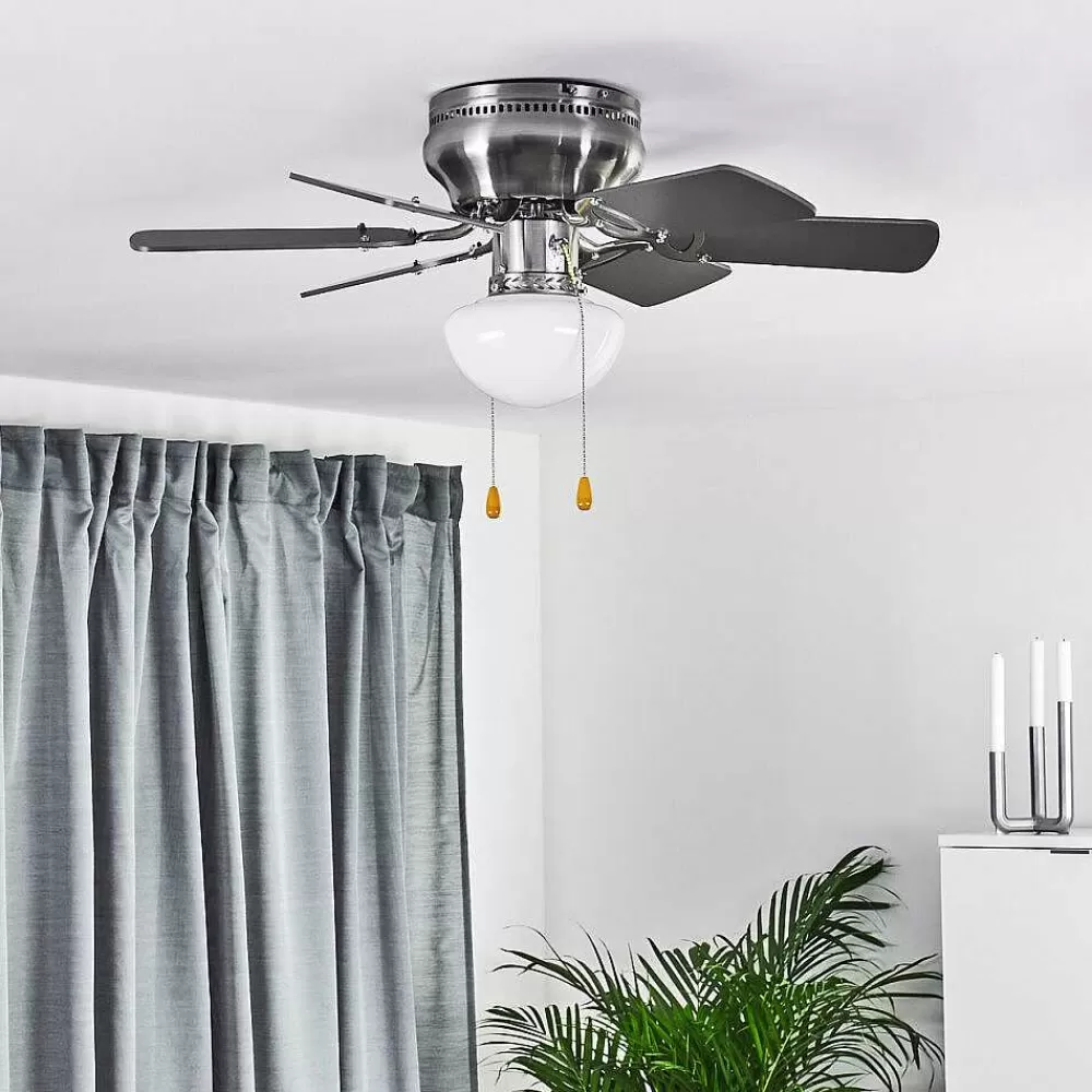 hofstein Ventilateur De Plafond Trillo Gris, Bois Clair, Nickel Mat, 1 Lumiere