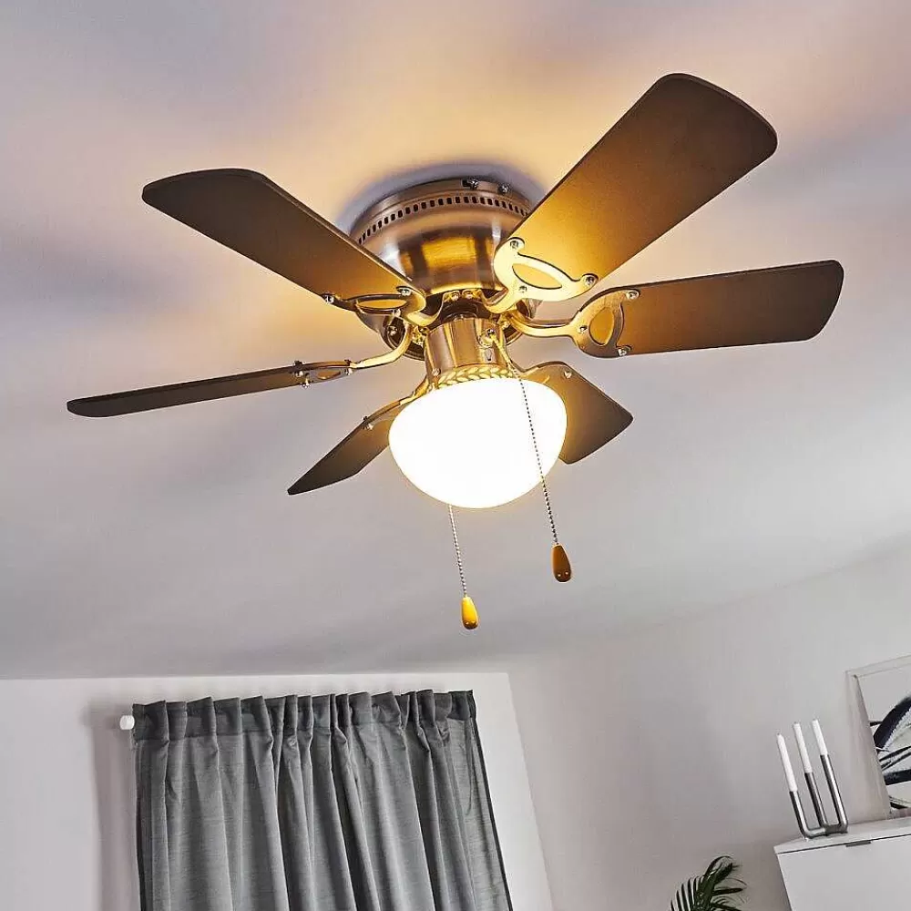 hofstein Ventilateur De Plafond Trillo Gris, Bois Clair, Nickel Mat, 1 Lumiere