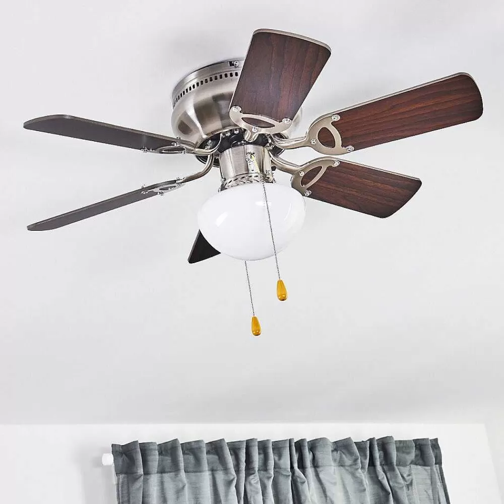hofstein Ventilateur De Plafond Trillo Gris, Bois Clair, Nickel Mat, 1 Lumiere