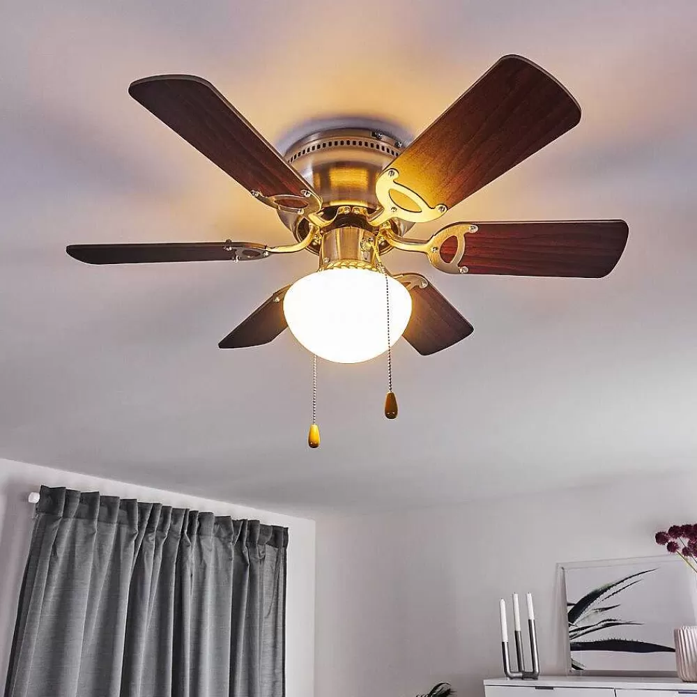 hofstein Ventilateur De Plafond Trillo Gris, Bois Clair, Nickel Mat, 1 Lumiere