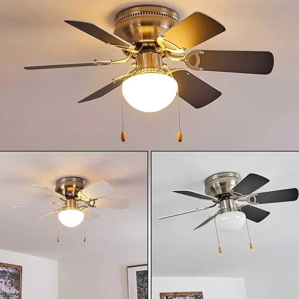 hofstein Ventilateur De Plafond Trillo Gris, Nickel Mat, Blanc, 1 Lumiere
