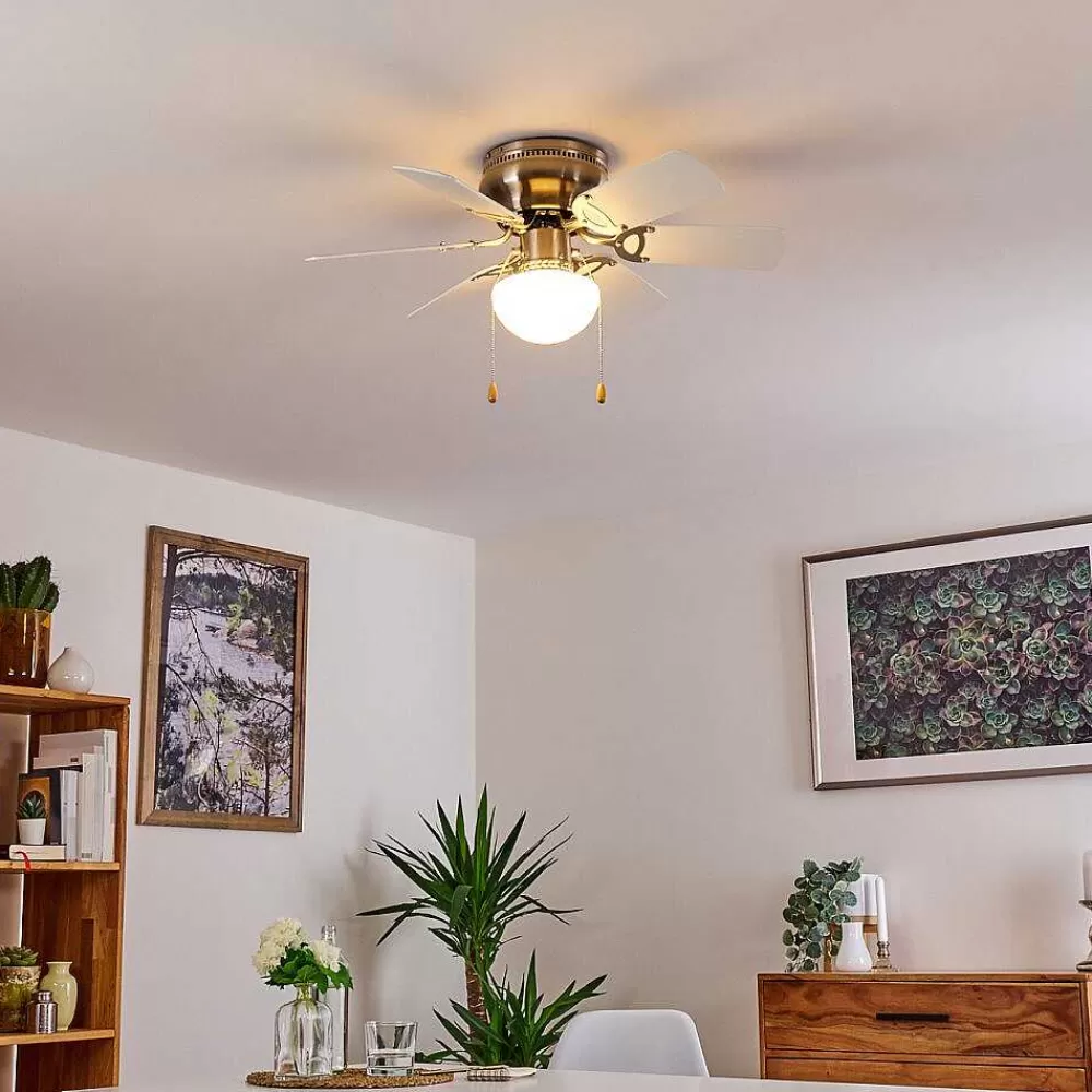 hofstein Ventilateur De Plafond Trillo Gris, Nickel Mat, Blanc, 1 Lumiere