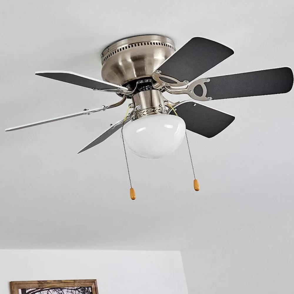 hofstein Ventilateur De Plafond Trillo Gris, Nickel Mat, Blanc, 1 Lumiere