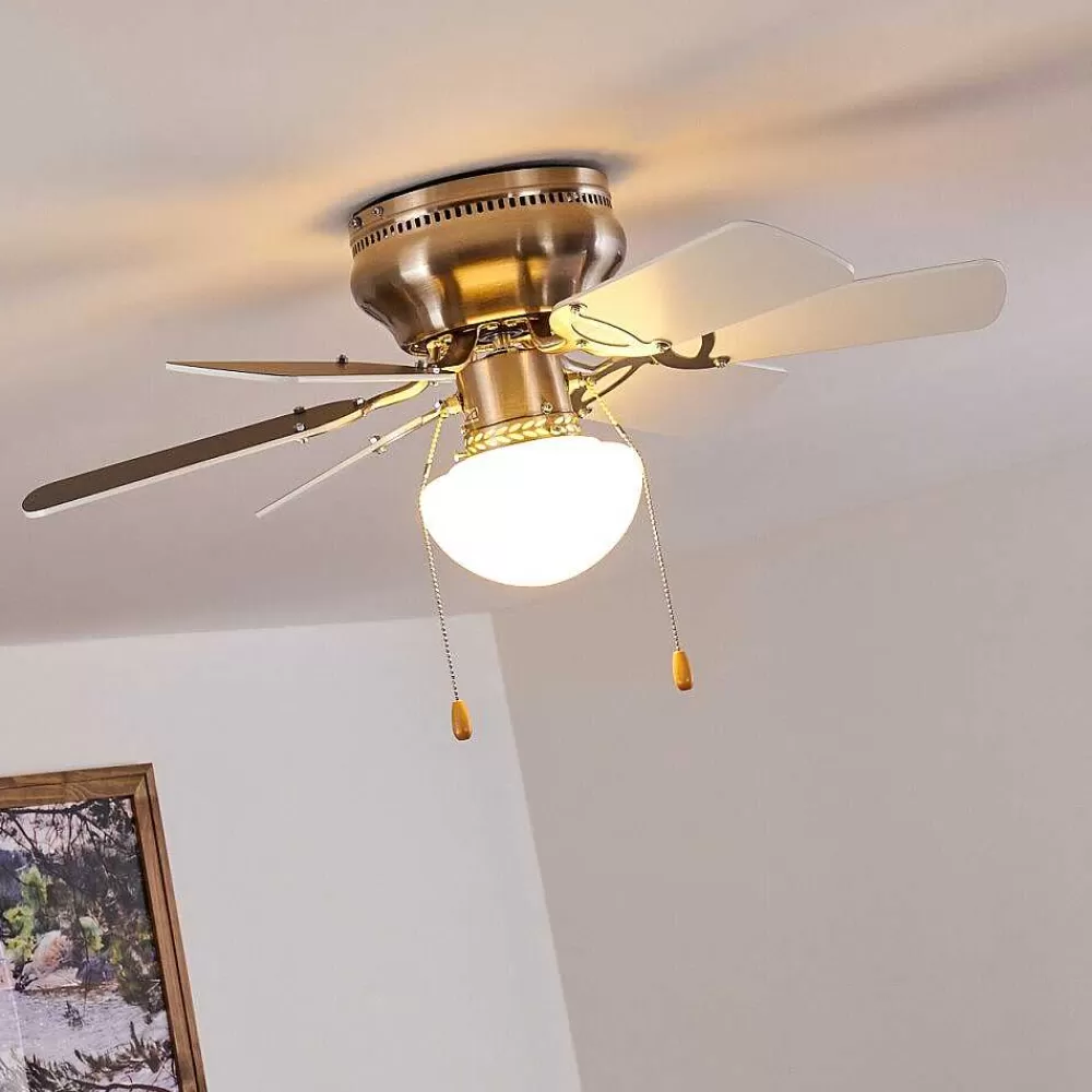 hofstein Ventilateur De Plafond Trillo Gris, Nickel Mat, Blanc, 1 Lumiere