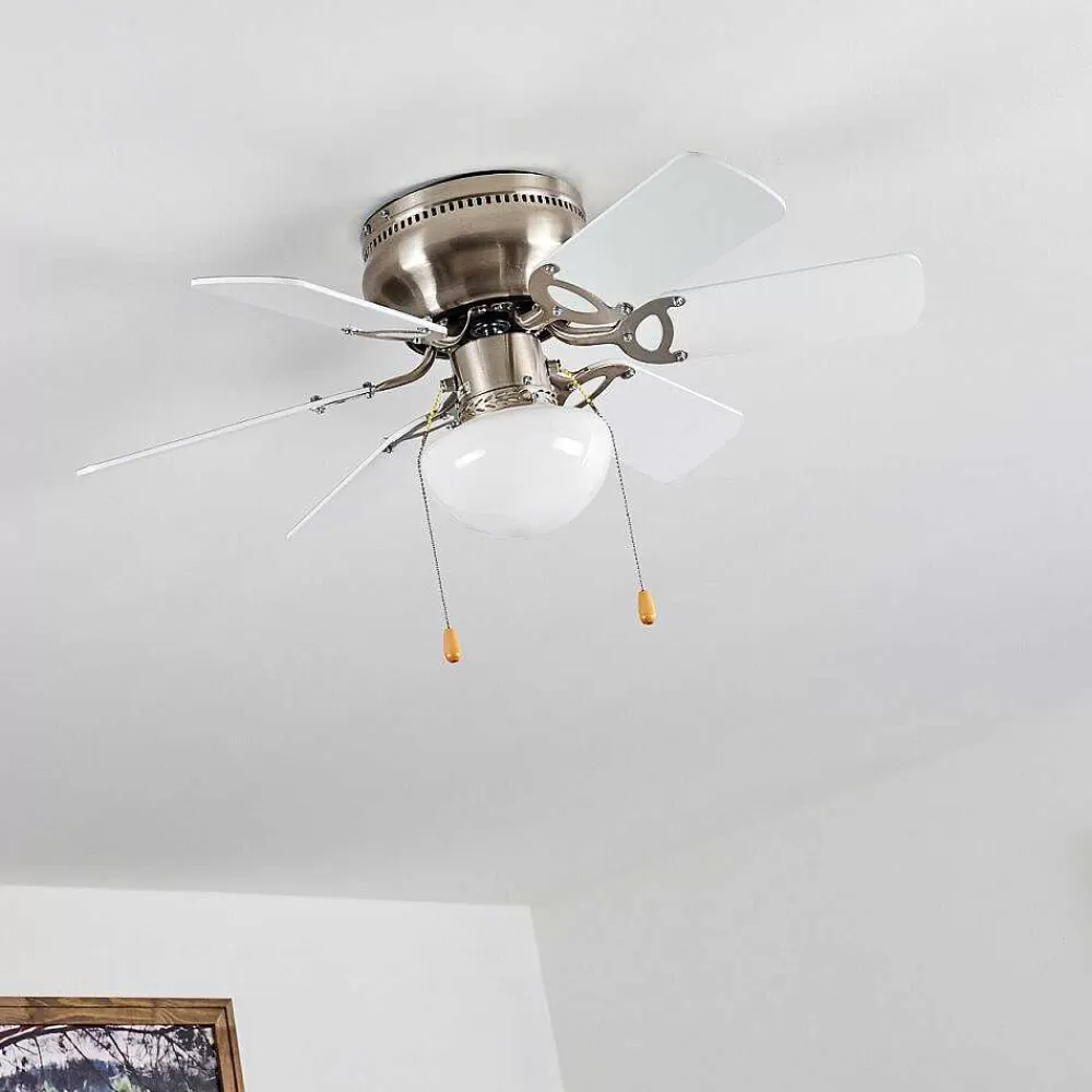 hofstein Ventilateur De Plafond Trillo Gris, Nickel Mat, Blanc, 1 Lumiere