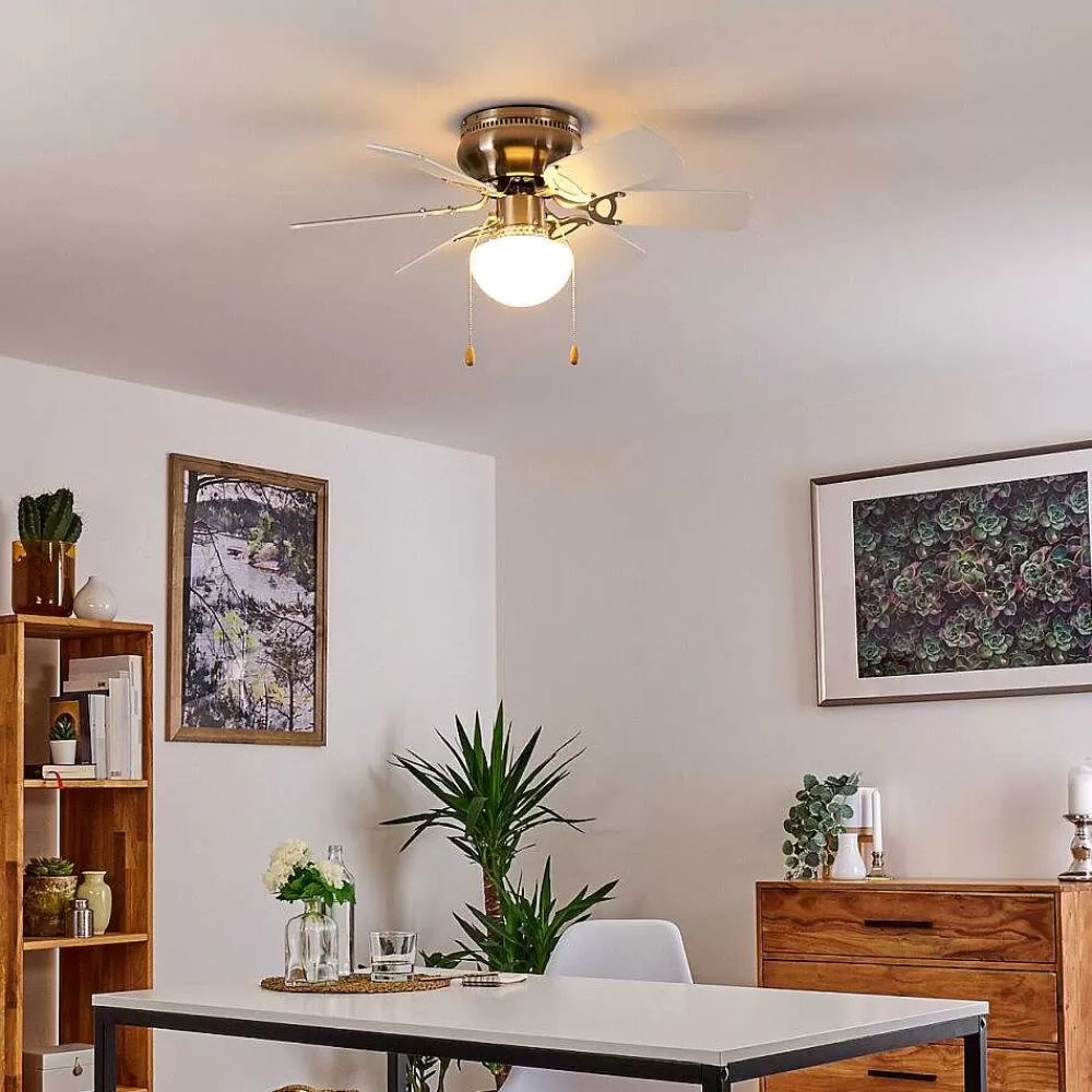 hofstein Ventilateur De Plafond Trillo Gris, Nickel Mat, Blanc, 1 Lumiere