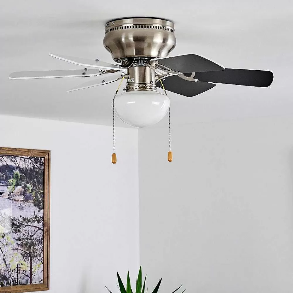 hofstein Ventilateur De Plafond Trillo Gris, Nickel Mat, Blanc, 1 Lumiere